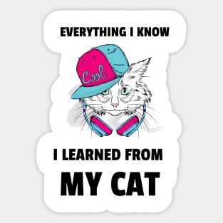 everything I know I learned from my cat Sticker